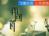 谨将此文送给身处黄金时代的同龄人 且行且珍惜！