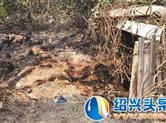 【头条直击】禁止露天焚烧 携手保卫蓝天
