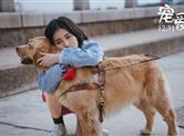 吴磊张子枫拍戏惊现“劈叉抱”笑翻网友