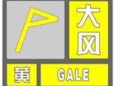 市气象台发布大风黄色预警信号 附防御指南