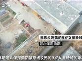 河北9岁女童被恶犬咬死 获赔50万私了