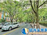 高颜值！湖滨路改造提升完工
