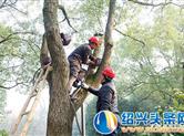 新昌正在实施的大佛寺景区亮化工程
