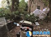 村内一块林地竟成了垃圾场 村民对此抱怨纷纷