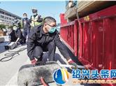 柯桥区2020年首次治理柴油货车污染执法行动