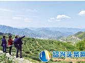 去丹家“深呼吸”古道 民宿 茶叶公园，这个高山村春景赏不够