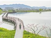 上虞西华瑶村瑶池湿地公园景色宜人，引游客前来游玩