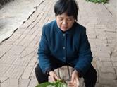 郑州六旬老妪诉称离异后受到村干部歧视
