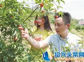 长乐镇寺西苑村石井自然村覆盆子熟了