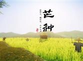 芒种夏至天：山楂酒养生要讲究