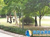 【头条直击】嵊州罗星公园中随意踩踏花草、乱扔垃圾等不文明随处可见…