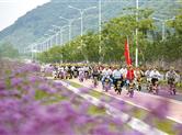 共享单车体验绿色出行 共赏最美公路