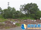 【头条直击】嵊州长乐镇太平村长留线一路段环境堪忧 该管管啦！