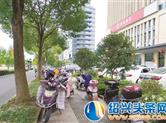 【头条直击】电动自行车乱停乱放何时休 占盲道 占人行道 占绿化带…