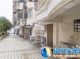 嵊州东圃一带的多个小区 杂物乱堆乱放 绿化带随意停车环境堪忧