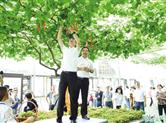 2020浙江·盖北野藤葡萄文化旅游节启动