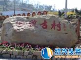 守住绿水青山，让千年香榧树、万年巨石阵成为“摇钱树”