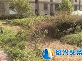 【头条直击】嵊州剡溪雅苑小区污目广告 私拉电线……安全隐患多