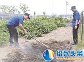 我市嵊州已处理20多起露天焚烧 严肃查处！