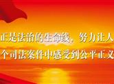男子诉称其唯一住房因虚假诉讼被拍卖