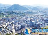 金庭镇灵鹅村：让村民过上更甜蜜的生活