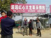国普网拥军频道外联部副主任李法明参观山东省金乡县寻佳圆梦有机肥推广基地