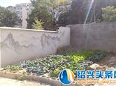 今日直击——嵊州大桥下空地成“菜园” 有碍观瞻