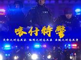 剑锋出鞘 锋从何来——喀什特警全警实战砺精兵