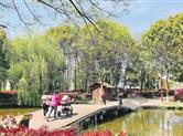 到西施故里旅游区赏春景、游春色，记录美好春光