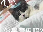 都是骗子！诸暨女子同时网恋交往两男友被骗6万多元！