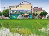 崧厦街道祝温村一民居外墙的墙绘作品与绿色田野融为一体相映成趣
