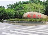 福全赵建村村民杀年猪，欢心迎新年