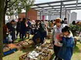 滨河花草生活市集，点亮越城文商旅融合之路