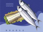 高品质海鲜商务套餐来了！官渡壹號诚意出品