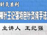 王纪强特色针灸纯手法实战应用研