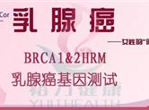乳腺癌与乳腺增生有什么区别，香港基因检测该如何预防？