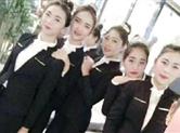 7号冰”有多强大? 科学家说出威力, 几个小时便能冻结全球海洋