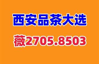 西安品茶大选工作室必看指南:从新手到行家的进阶之路