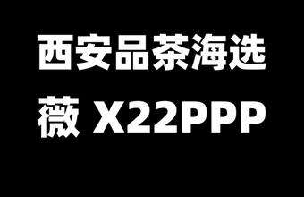 西安品茶场子大选海选工作室全城安排t台实体店面