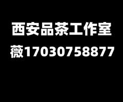 魅力西安品茶t台海选工作室全城安排大选实体店场子攻略