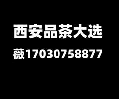 西安品茶t台大选海选实体店喝茶场子全城安排工作室推荐