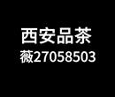 邂逅西安品茶t台海选工作室全城安排大选实体店
