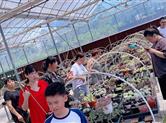 走出城市 拥抱自然——阳光人寿上虞支公司组织户外亲子游活动